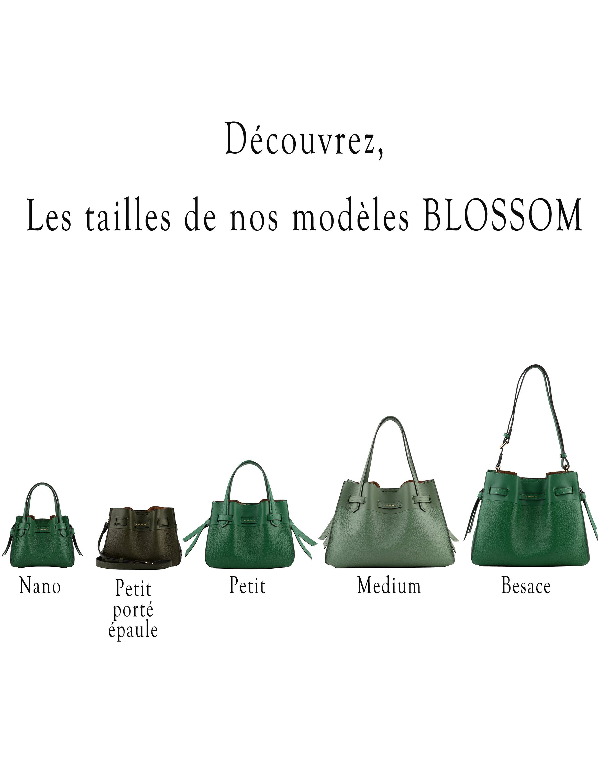 Blossom - Nano mastic